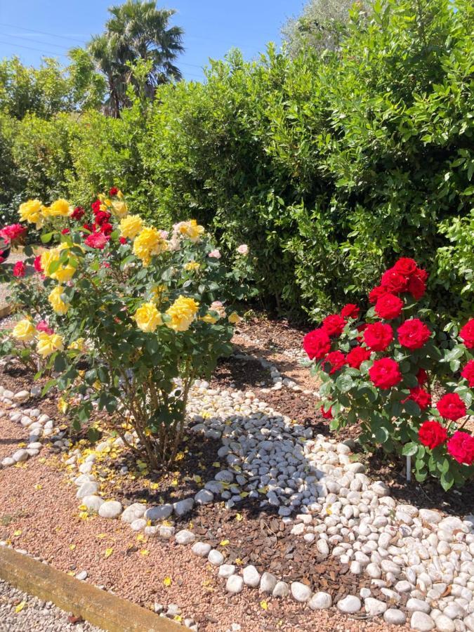 La Rosa Del Lago Bracciano Kültér fotó