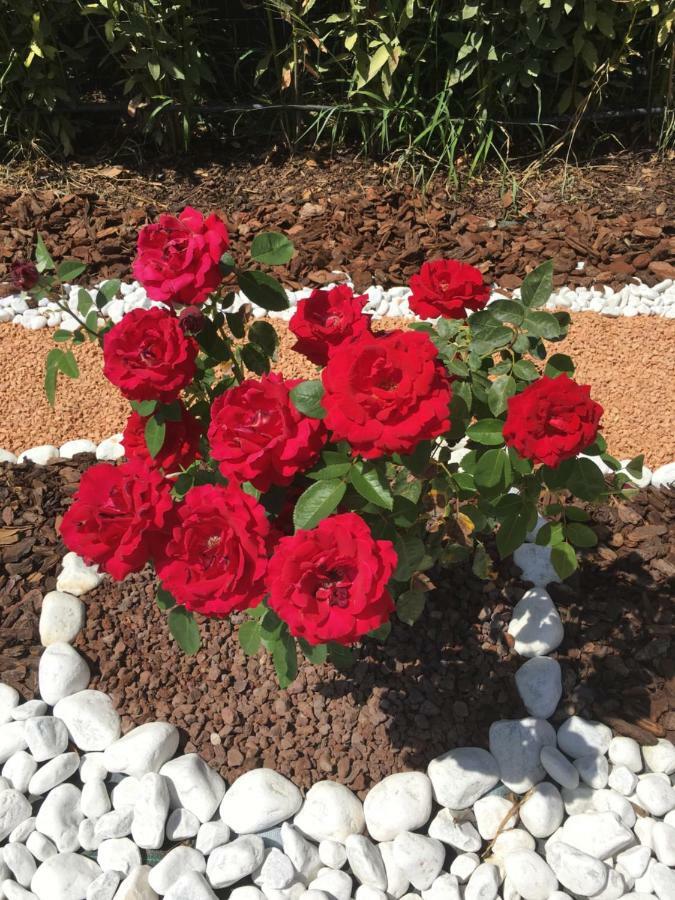 La Rosa Del Lago Bracciano Kültér fotó