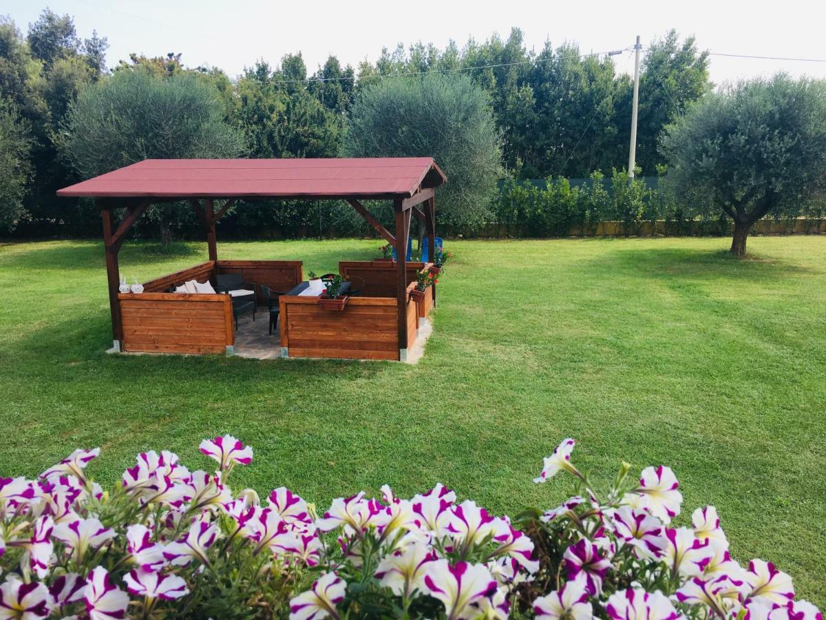 La Rosa Del Lago Bracciano Kültér fotó