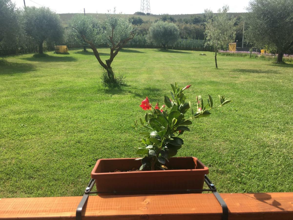 La Rosa Del Lago Bracciano Kültér fotó