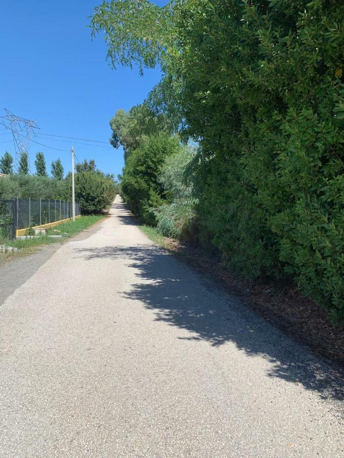 La Rosa Del Lago Bracciano Kültér fotó